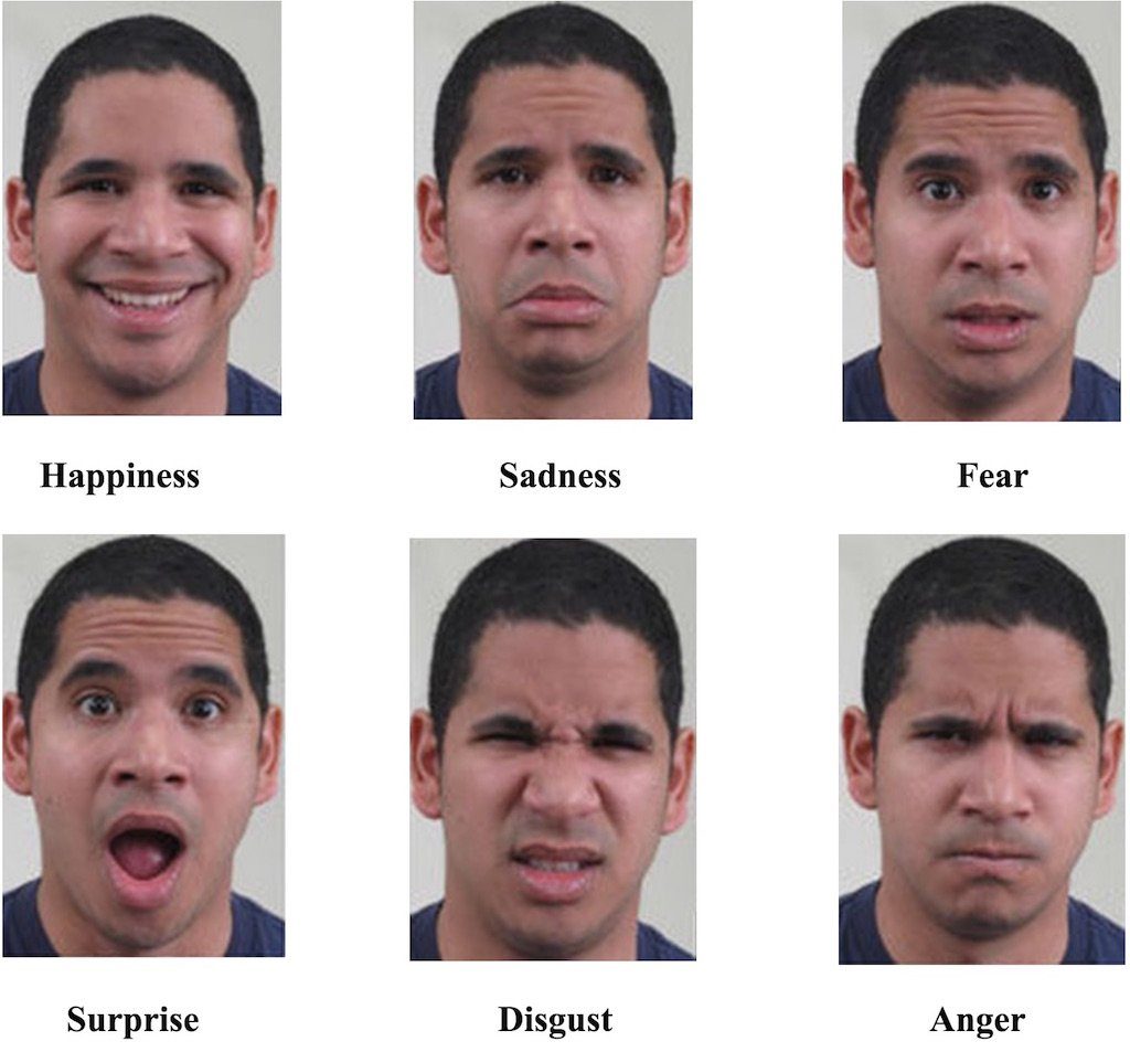 core human emotions human's six core facial emotions