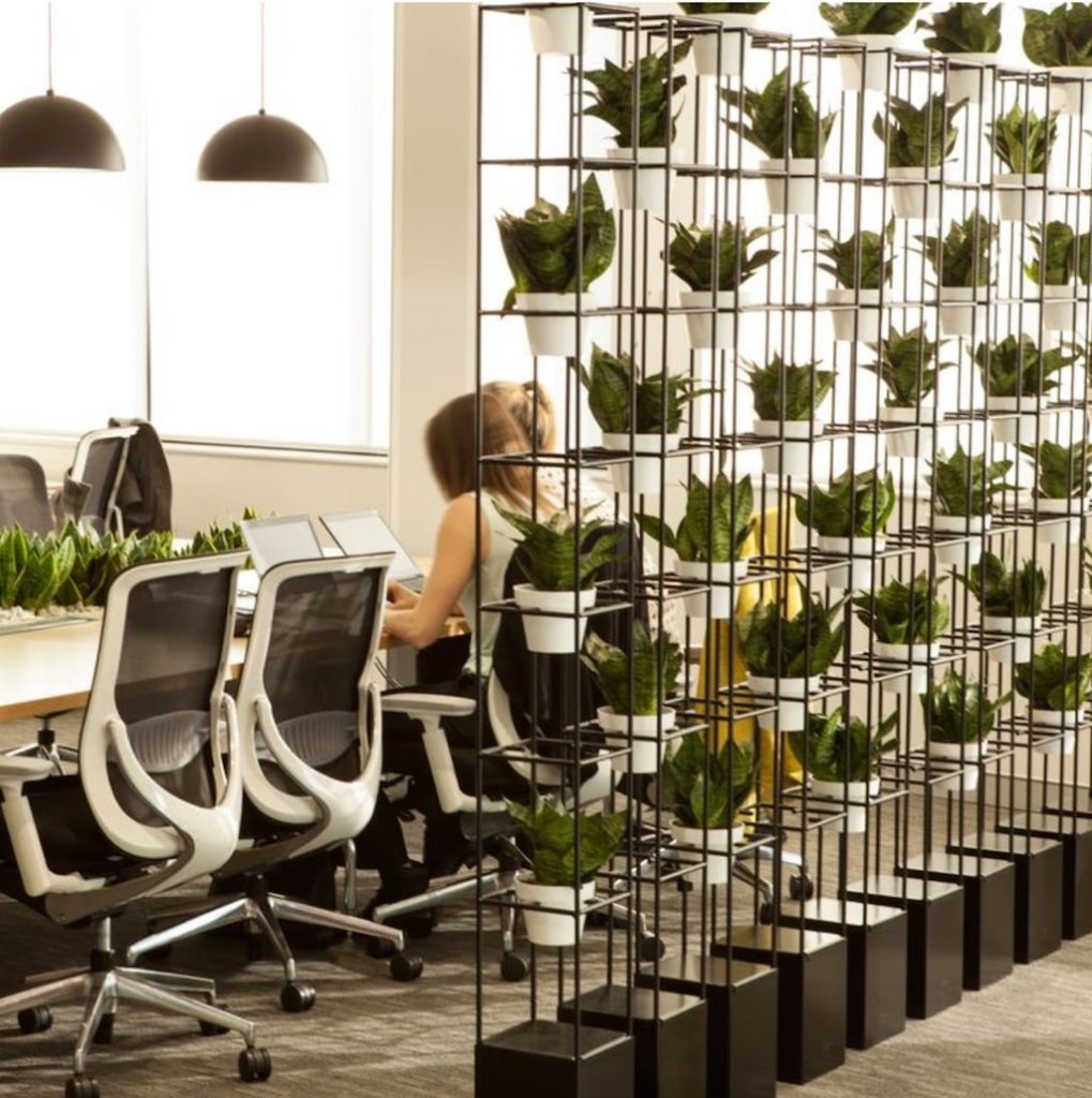 office green walls office green walls