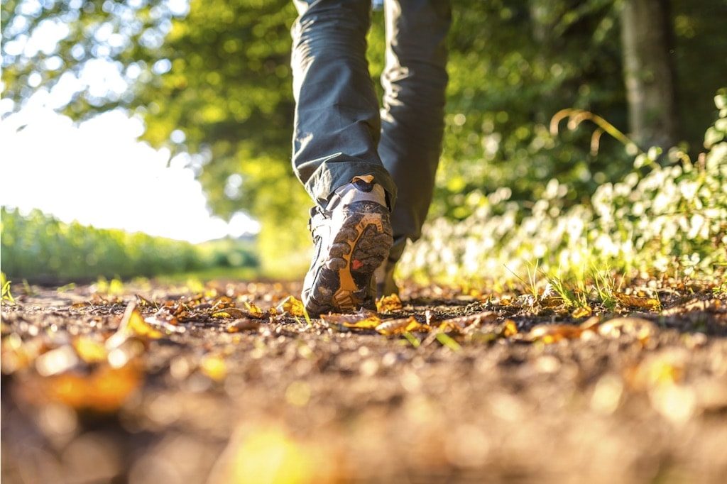 savoured walks improve mindfulness savoured walks improve mindfulness
