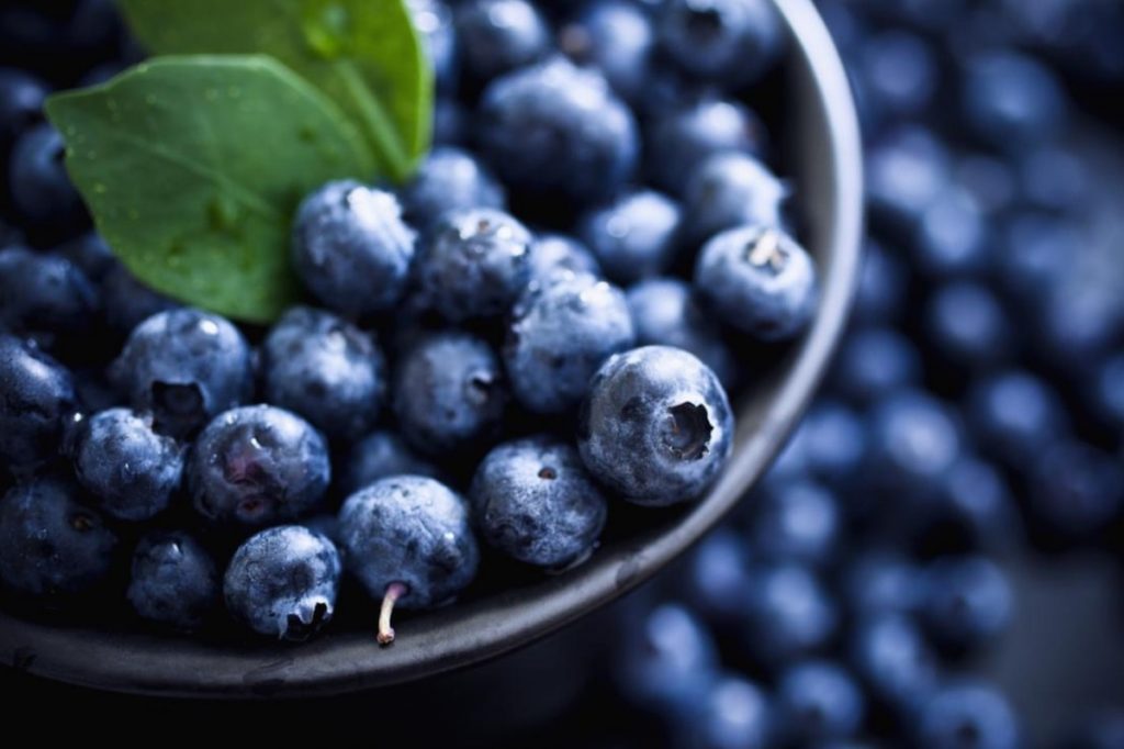 blueberries help with your concentration blueberries help with your concentration