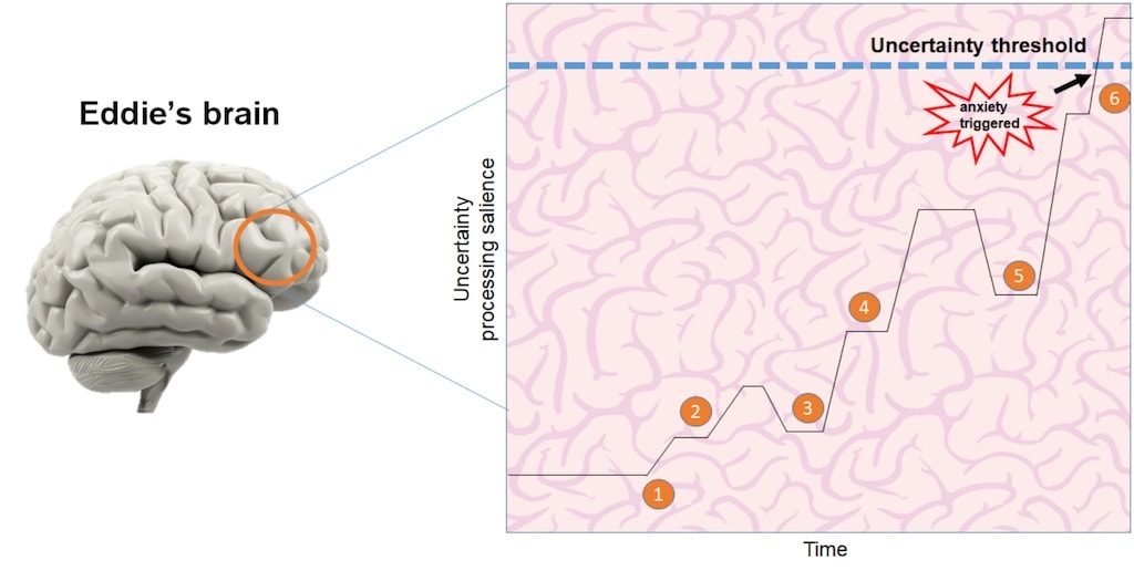 certain brain certain brain